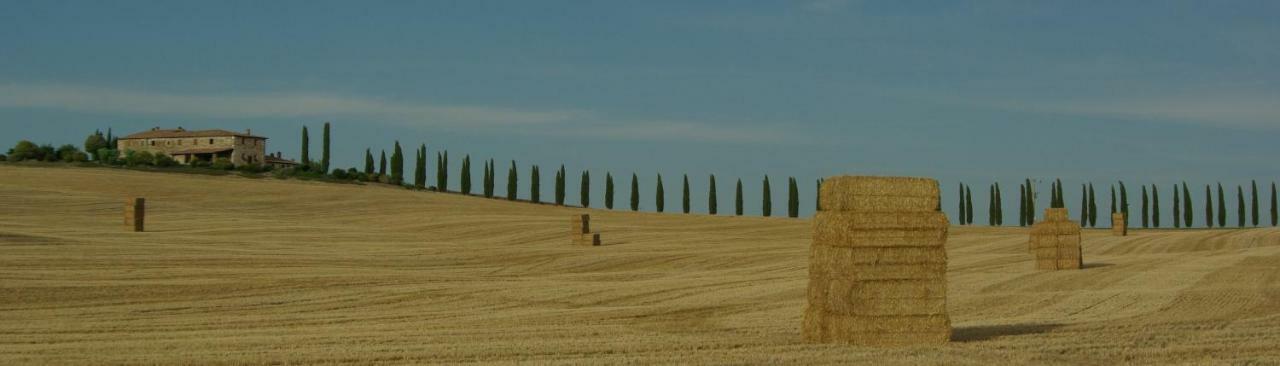 فيلا La Casa Del Susino Castiglione dʼOrcia المظهر الخارجي الصورة