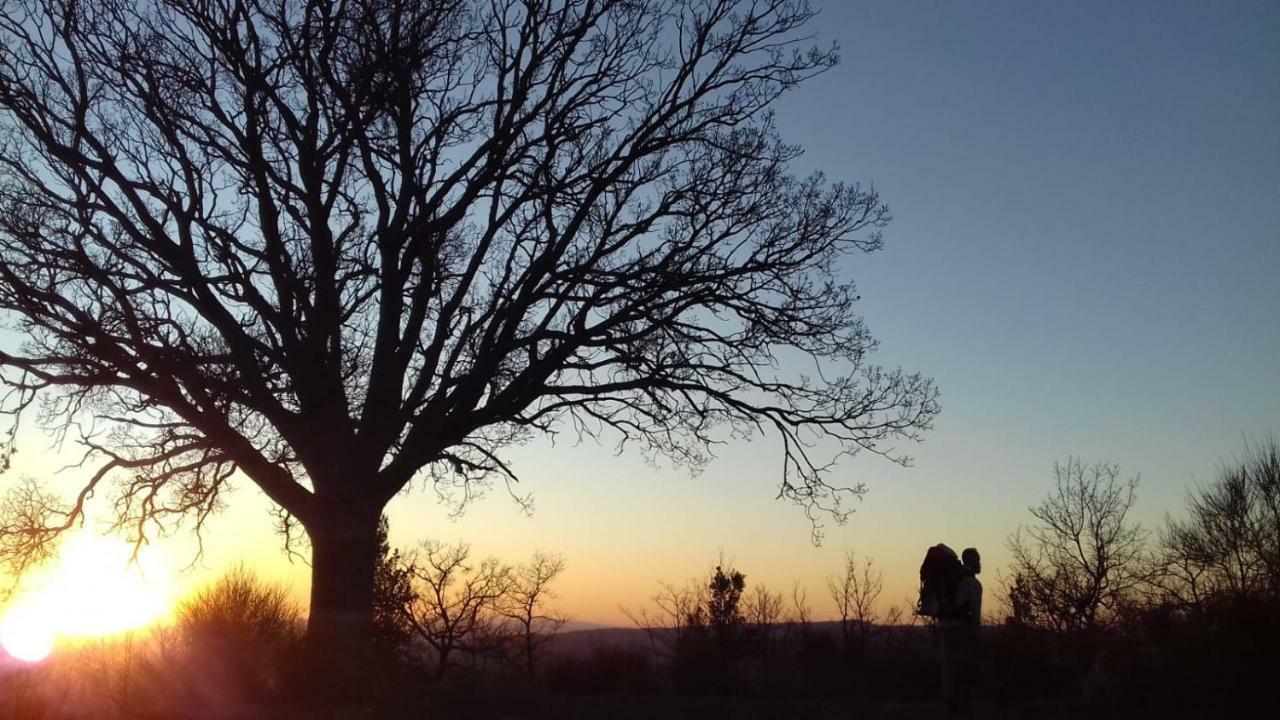 فيلا La Casa Del Susino Castiglione dʼOrcia المظهر الخارجي الصورة