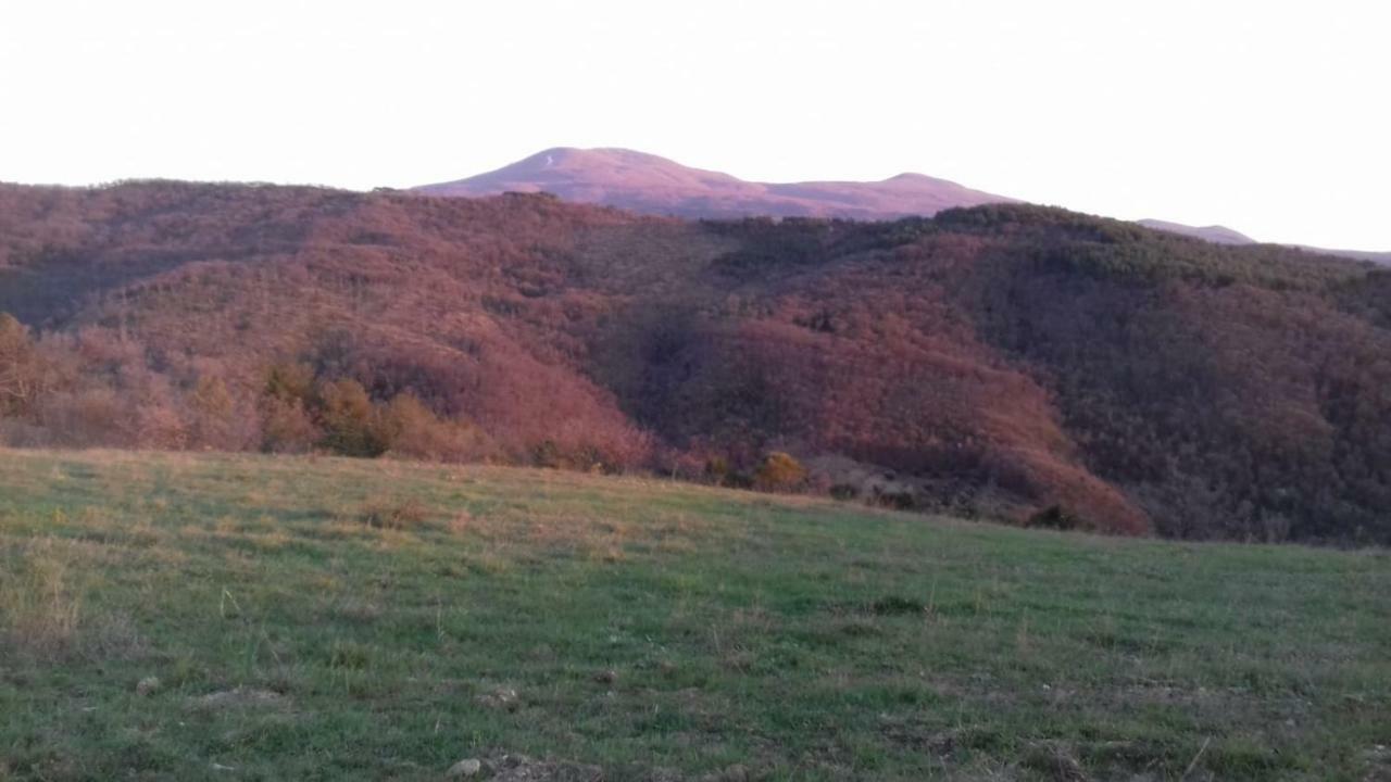 فيلا La Casa Del Susino Castiglione dʼOrcia المظهر الخارجي الصورة